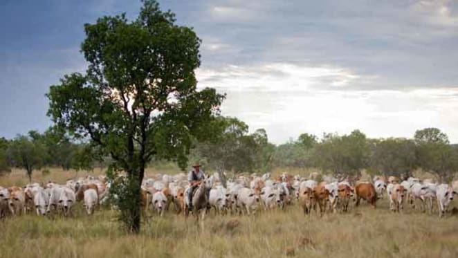 Chinese buy Ord River cattle station from the Brits