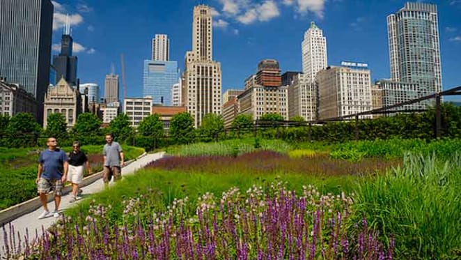 Green space – how much is enough, and what’s the best way to deliver it?