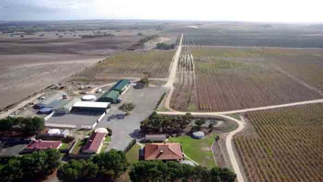 Mixed use farm with irrigation entitlement listed