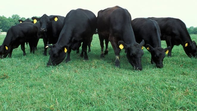 CGT exemption and farmland: Ask Margaret