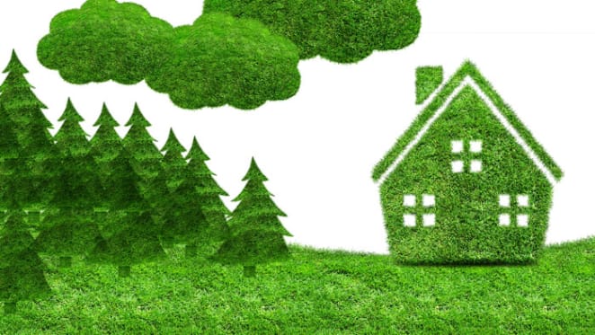 Invest in land - that is where the growth is: Custodian