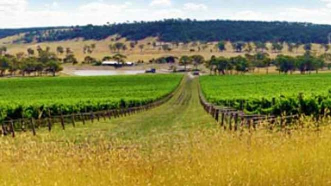 Local buyer snaps up one of Australia's largest vineyards in Victoria