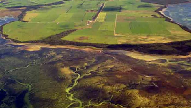 Van Diemen's Land Tassie dairy sale to Chinese by New Zealand owners