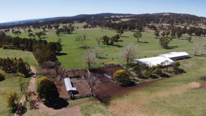 Doughboy Mountain listed by Salter black angus breeders