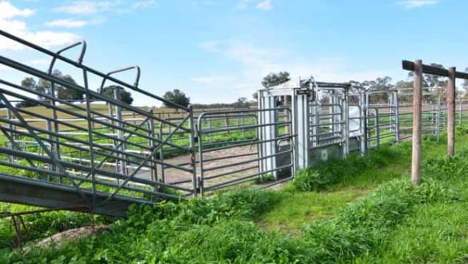 Land value increases in South Australia's rural pockets: HTW