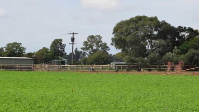 Heat in the central west and western New South Wales rural property market