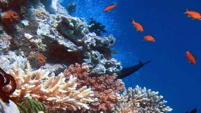 Asia-Pacific ecosystems could lose a third of their value by 2050 without action