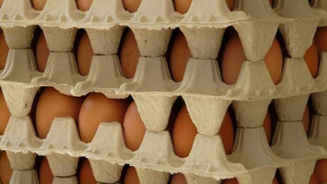 Let's hope the new arrivals like egg boxes: Pete Wargent