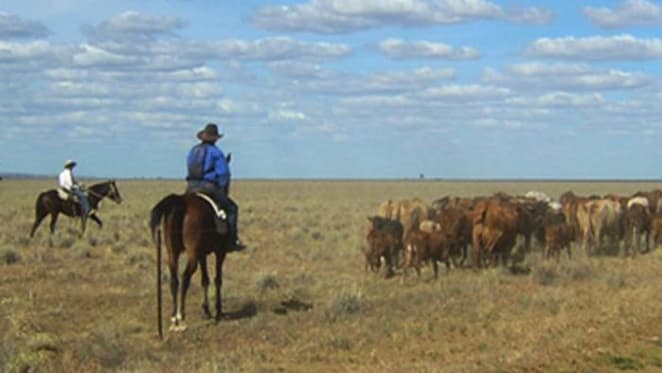 Queensland cattle farm sold by English investors to Chinese