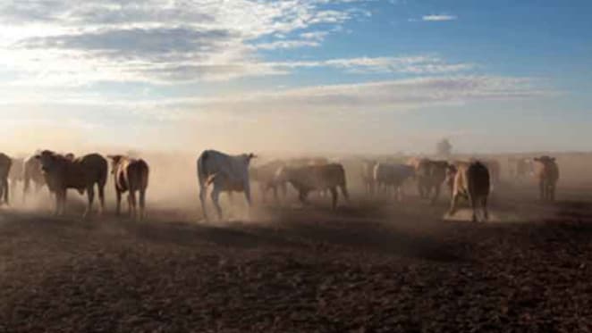 DomaCom set to secure beef property