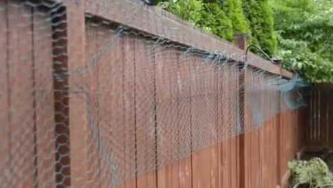 Property 101: Dividing fence disputes in QLD