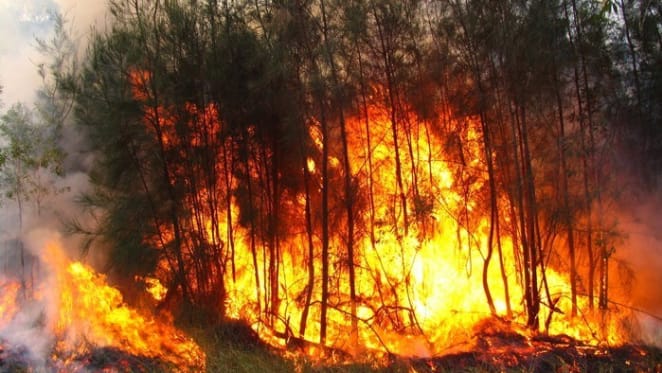Drought, wind and heat: when fire seasons start earlier and last longer