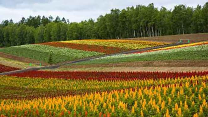 Climate change is happening in your garden: here’s how to spot it