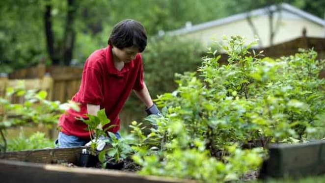 Gardening is good for you; the science is in