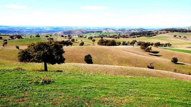 Paul Simons buys $6.5 million Young farm, Glencoe