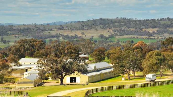 Twin Hills Stud listed by Godolphin