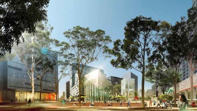 Zetland unit capital growth falls off sharply