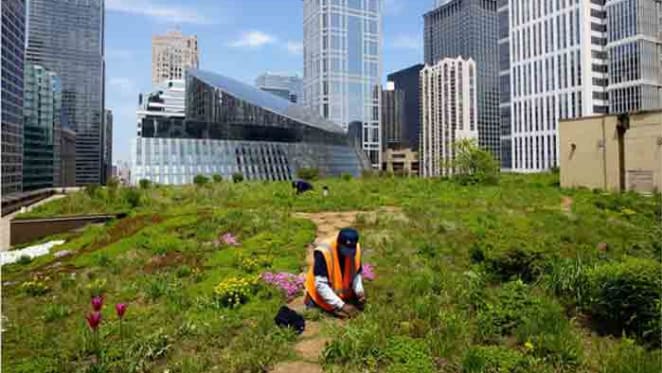 Green infrastructure the hot topic amongst city planners