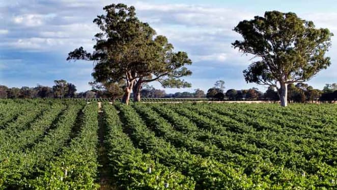 South Australia’s Gum Park Vineyard listed