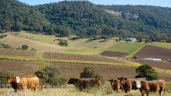 Hunter coalfield towns see falls in land values, but Newcastle residential values up 14 percent: NSW Valuer-General