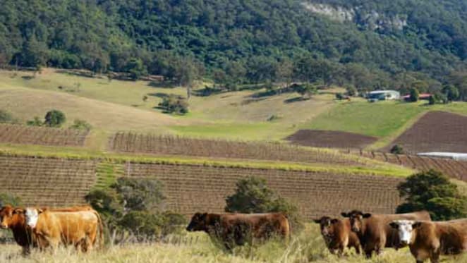 Hunter Valley NSW reaps clearance rate of 59.1 percent: CoreLogic