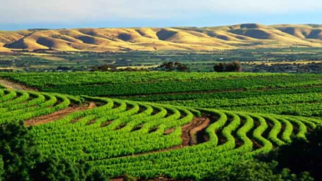 McGrath opens it first office in the Hunter Valley region