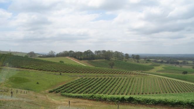 Hunter Valley property stacks up against Sydney, Melbourne
