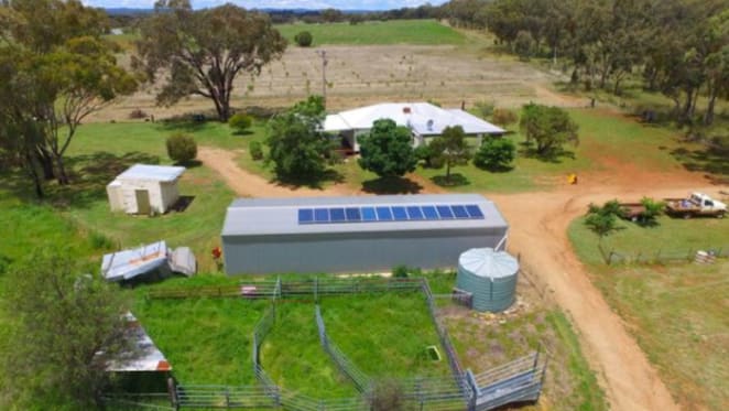 Beef and lamb prices nourishing Northern Tablelands rural prices: NSW Valuer-General