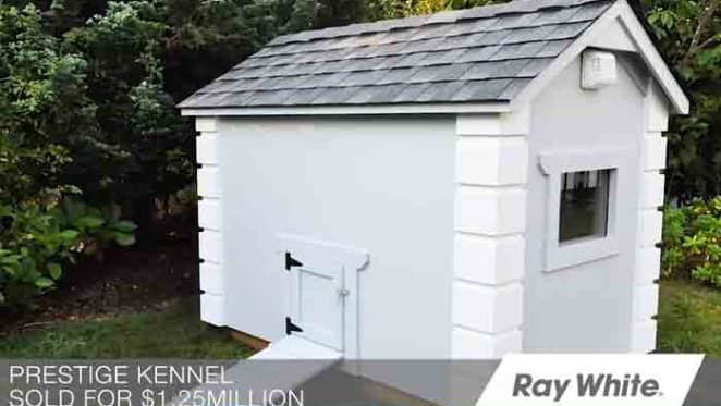 Ray White enters lucrative doggie real estate market with the sale of very first prestige poochy palace for $1.25 million