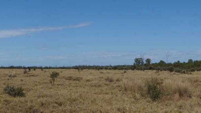 Peabody Energy lists three central Queensland cattle stations