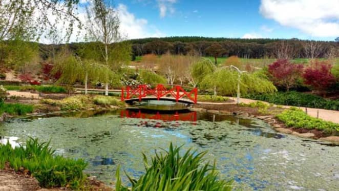 Garrick Hawkins might close Mayfield Garden, Oberon over quarry expansion