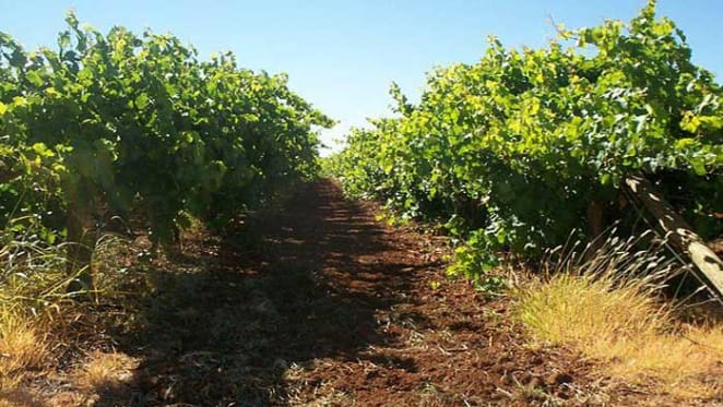 Limited sales activity in Mildura region over June: HTW
