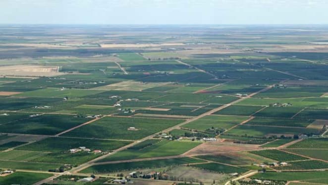 Murrumbidgee NSW property market scorecard: Simon Pressley