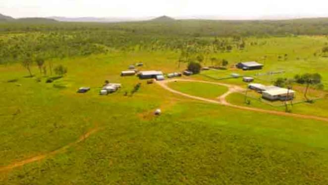 Clive Palmer's Rockhampton farm still for sale after postponed auction
