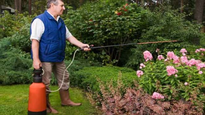 Are common garden chemicals a health risk?
