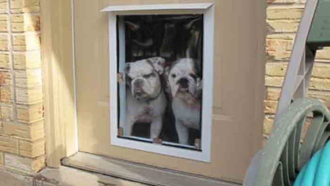 Property 101: Pet bonds in WA