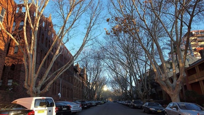 Potts Point retail space sold by Ada Nicodemou