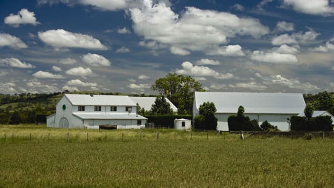 Rich Rock, Merriwa listed with $14 million hopes