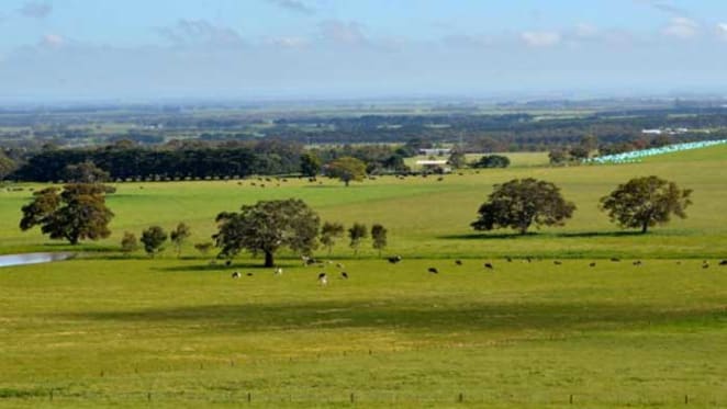 Barwon Heights farm sells for $10 million plus