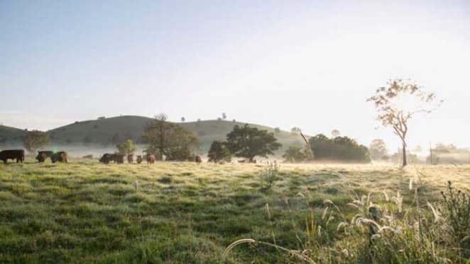 Time on market longer for western Queensland rural property