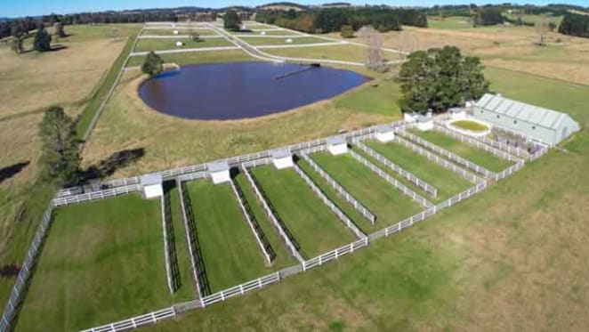 Pic-a-Pine Park in the Southern Highlands listed