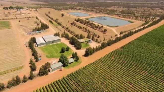 Agricultural diversity driving Mildura land market: HTW