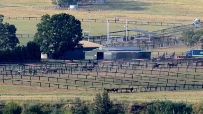 Tinkler's Hunter Valley horse stud listed