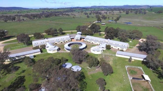 Godolphin sells Twin Hills stud