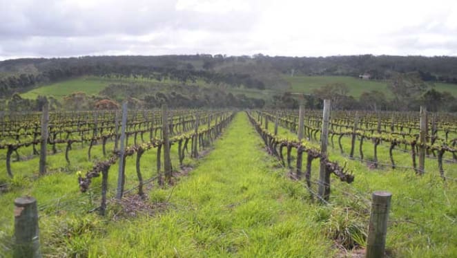 Offmarket rural FIRB sales banned by Treasurer Scott Morrison