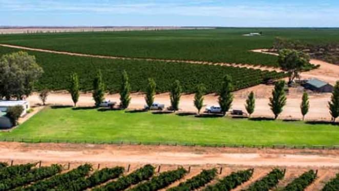 Kingston Estate Wines expands vineyard holdings
