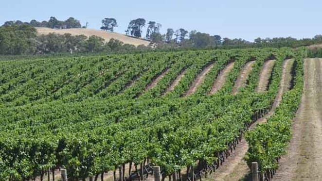Grant Burge buys in the Adelaide Hills