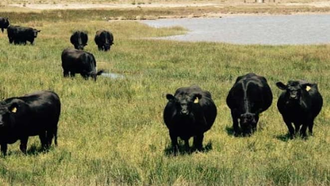 Salteri's Werai, Southern Highlands holding gets bigger