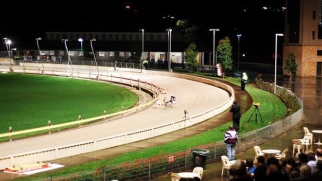 NSW greyhound racing ban opens inner city residential development possibilities