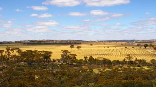 Sales firming in WA's Wheatbelt region: HTW